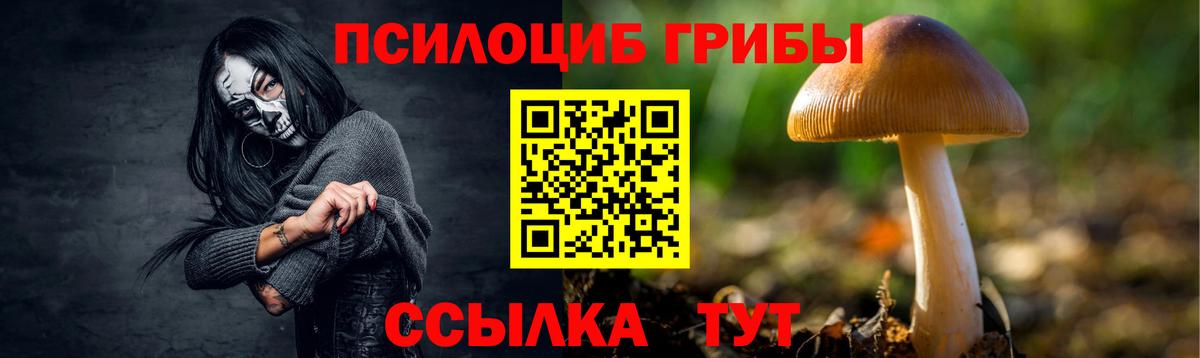 Псилоцибиновые грибы Cubensis  купить наркотик  Сердобск  Вход с VPN 